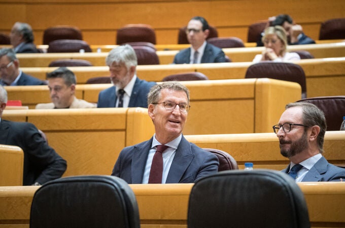 23J.- Arranca el escrutinio del Senado, con el PP en cabeza con 98 senadores y el PSOE con 59