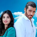 Cartel 'Violeta como el mar'