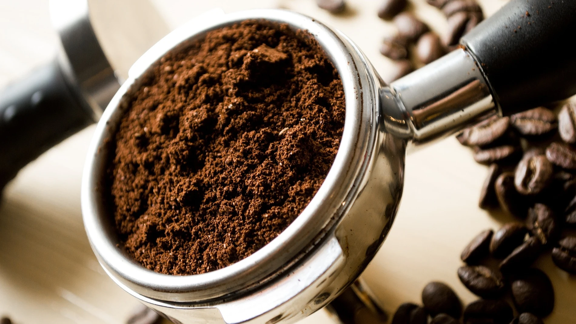 Un compuesto presente en alimentos como el cafe puede mejorar la calidad de vida durante el envejecimiento