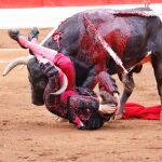 Tremenda cogida a Roca Rey en Santander (corta un trofeo) y Cayetano le hace el quite