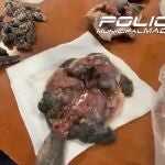 Denunciado un restaurante de Usera por vender medicamentos y especies exóticas que sacrificaba allí