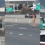 Vídeo: Mujer desata el caos en medio de una autopista disparando a vehículos sin control en San Francisco