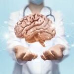 Cerebro