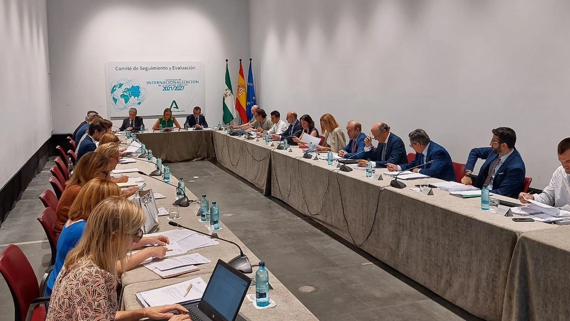 El comité de seguimiento de la internaciolización