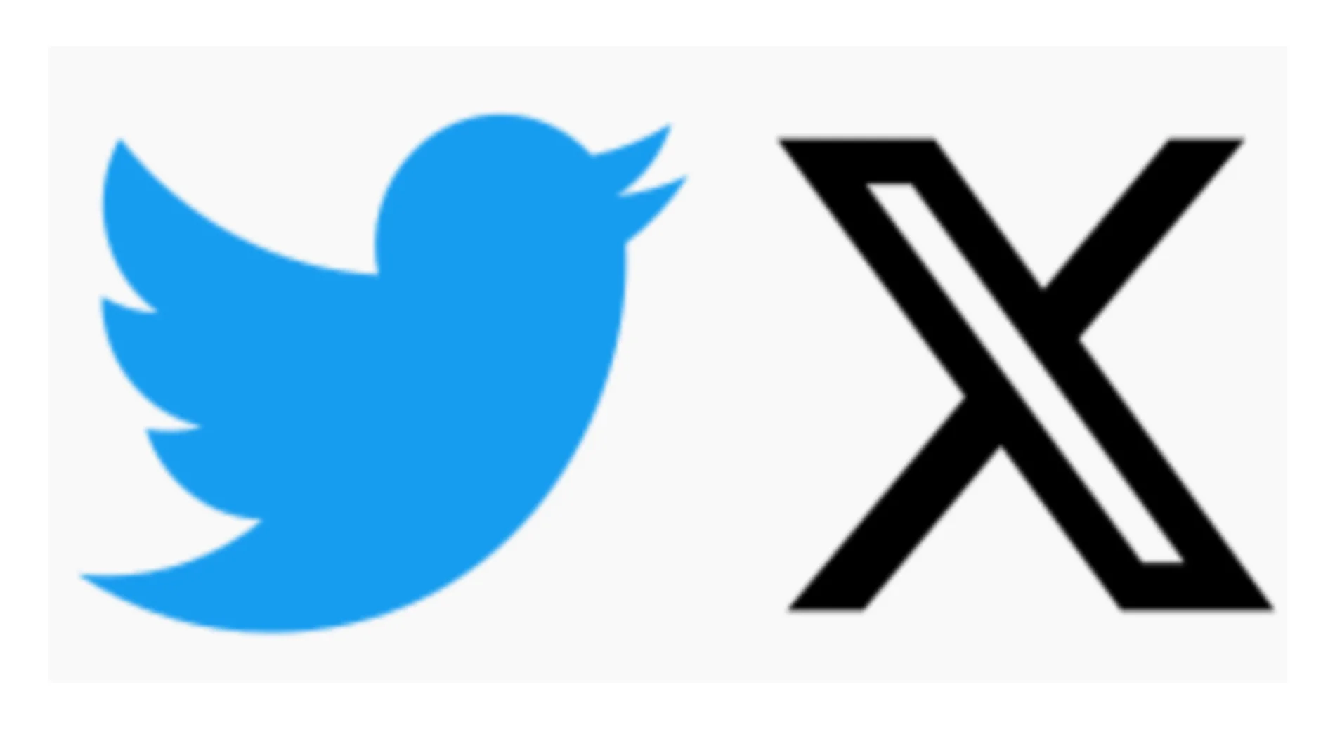 Twitter se ha convertido en X y fue la utilizada por la condenada