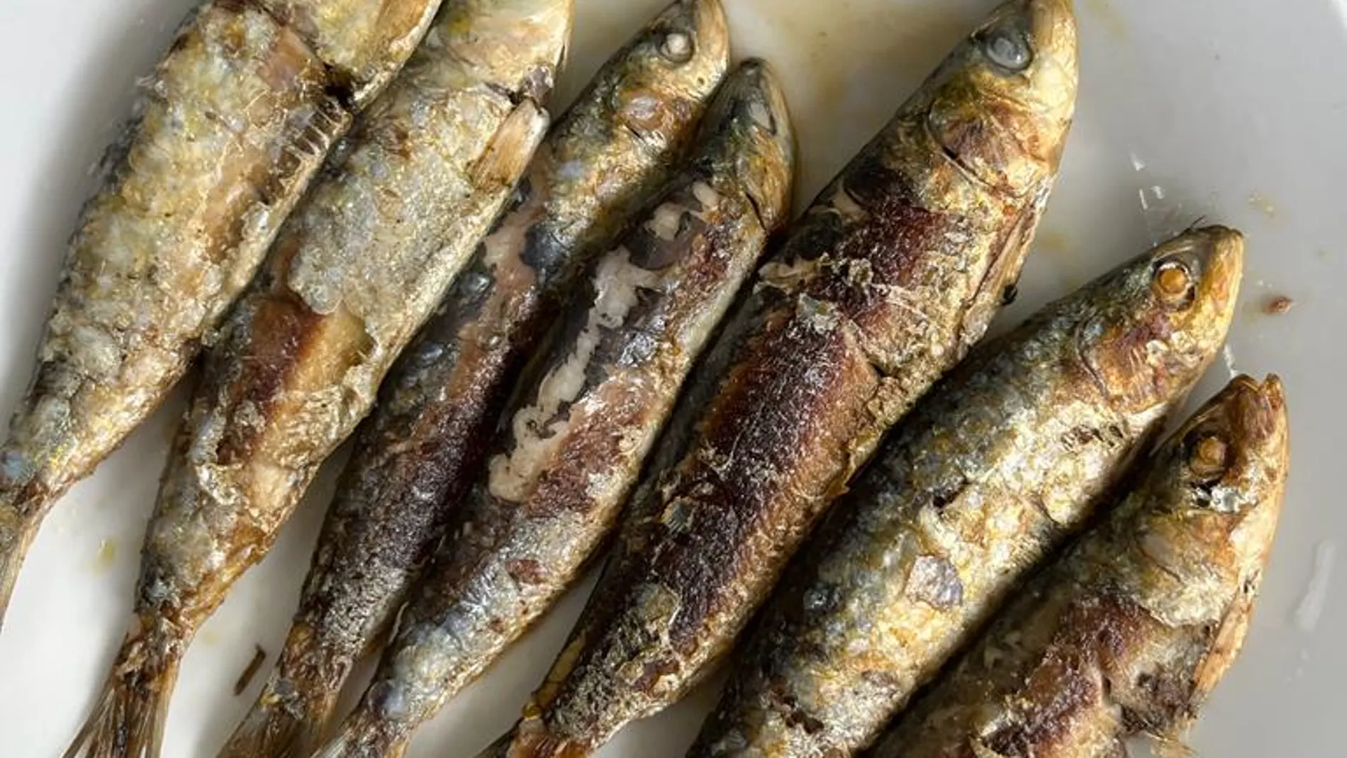 Sardinas