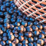 Un superalimento es un alimento con una gran cantidad de nutrientes que son beneficiosos para la salud