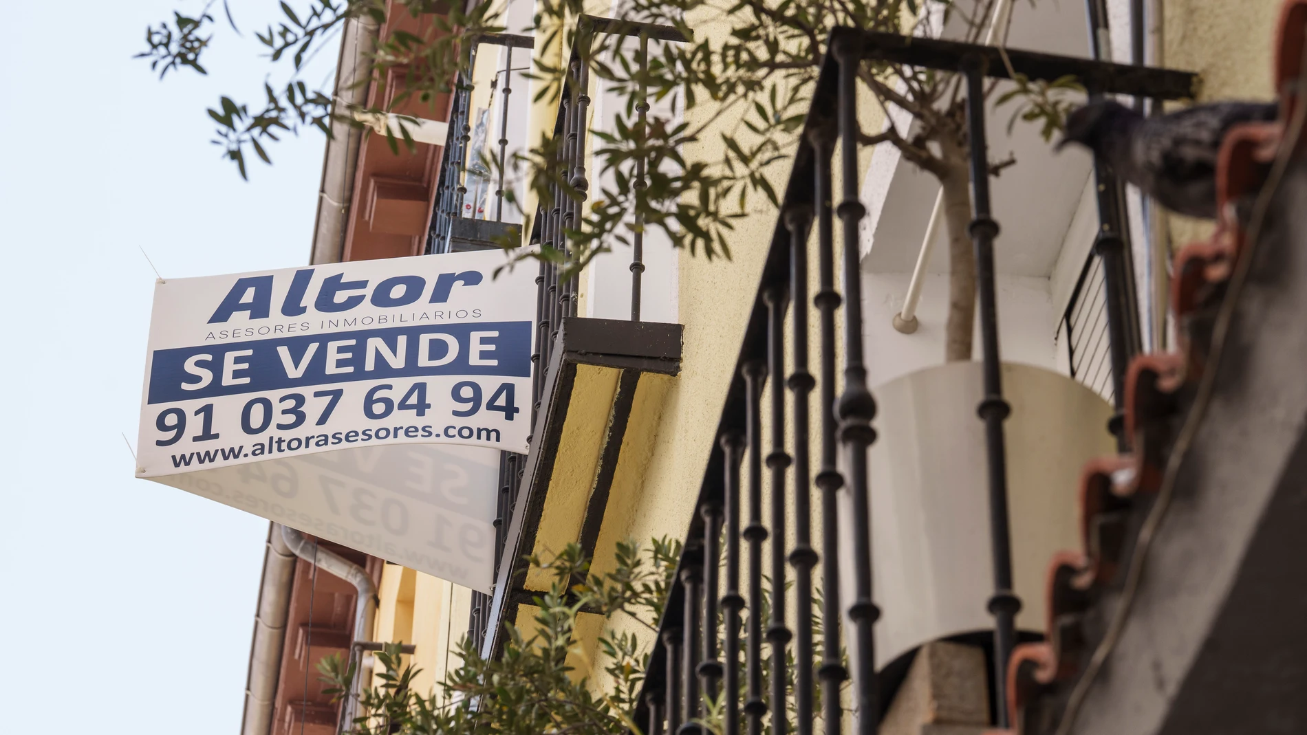Venta u alquiler de viviendas.