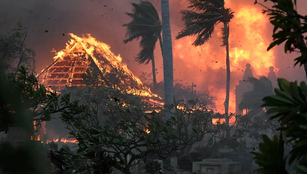Hawaii Fires