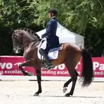Dani Martín estará en el Campeonato de Europa de Doma Clásica