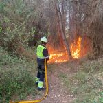 Los bomberos luchan contra el fuego, nuevamente hoy, en El Saler