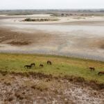 Vista de la laguna de Santa Olalla en el Parque Nacional de Doñana