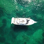 Una imagen a vista de pájaro donde se aprecian las praderas de posidonias en el fondo del Mediterráneo