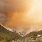 Incendio en la isla de Tenerife
