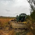 La CHG inicia el cierre de 13 nuevos pozos por ejecución forzosa en el entorno de Doñana