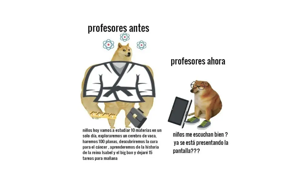 Meme Cheems