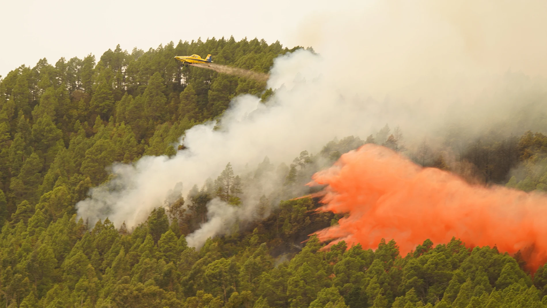 Un efectivo aéreo trabaja en las tareas de extinción en el incendio de Tenerife