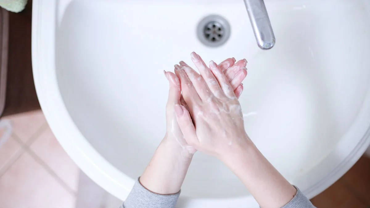 Hantavirus: Estos son los 5 consejos para tratar de prevenir el contagio entre personas
