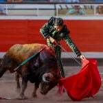 Toros en Bilbao