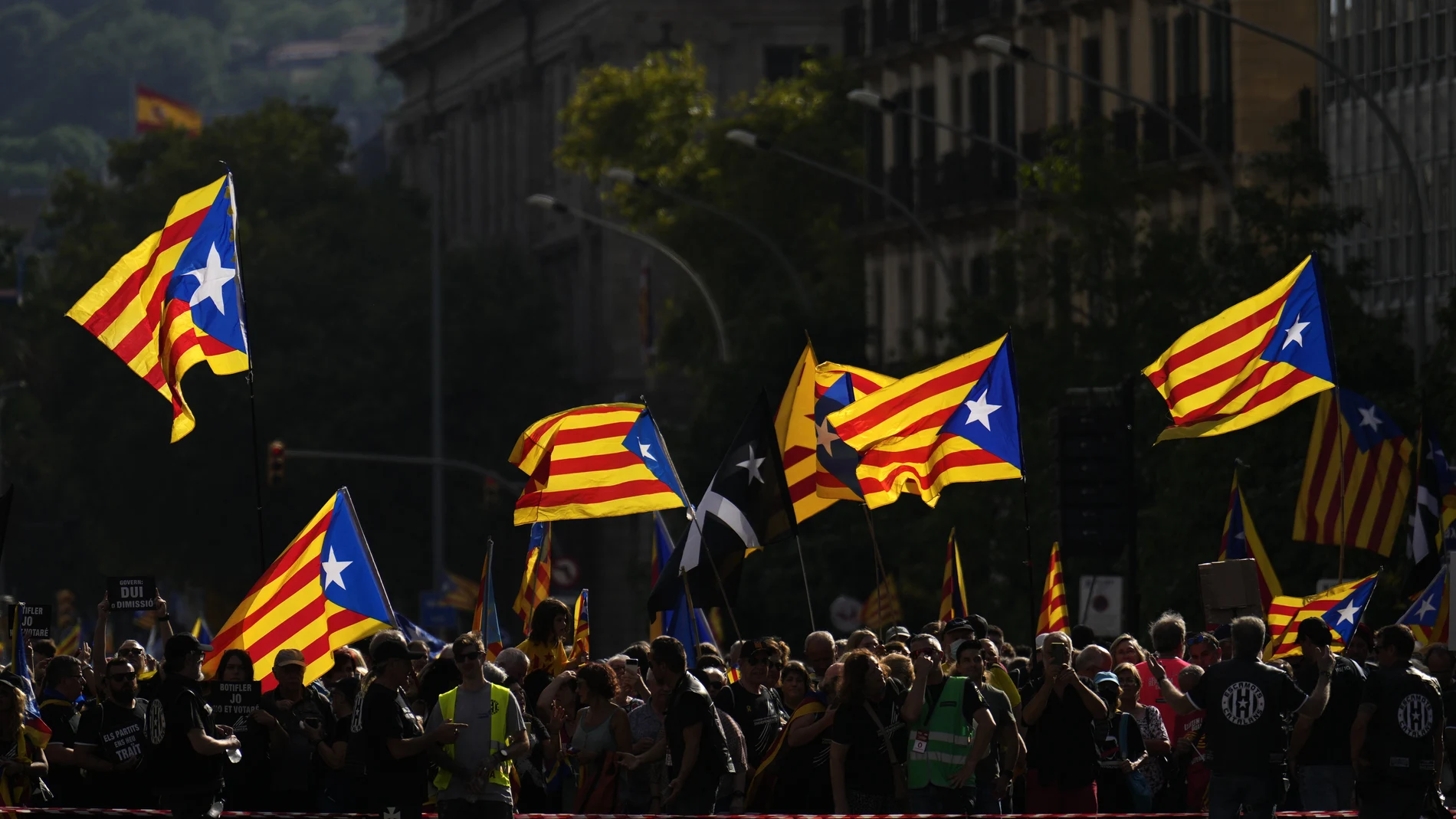 Manifestación de la Asamblea Nacional Catalana (ANC) con motivo de la Diada del 11 de septiembre, este domingo en Barcelona.