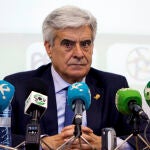 Pedro Rocha, presidente interino de la RFEF