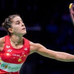 Denmark Badminton