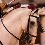 El toreo a caballo se toma Las Ventas en el último festejo de agosto