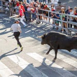 La villa de Cuéllar celebra el cuarto encierro, declarados Fiesta de Interés Turístico Internacional, con toros de la ganadería de Valdemoro