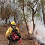 El Cabildo de Tenerife valora inicialmente los daños del incendio forestal en 80,4 millones de euros