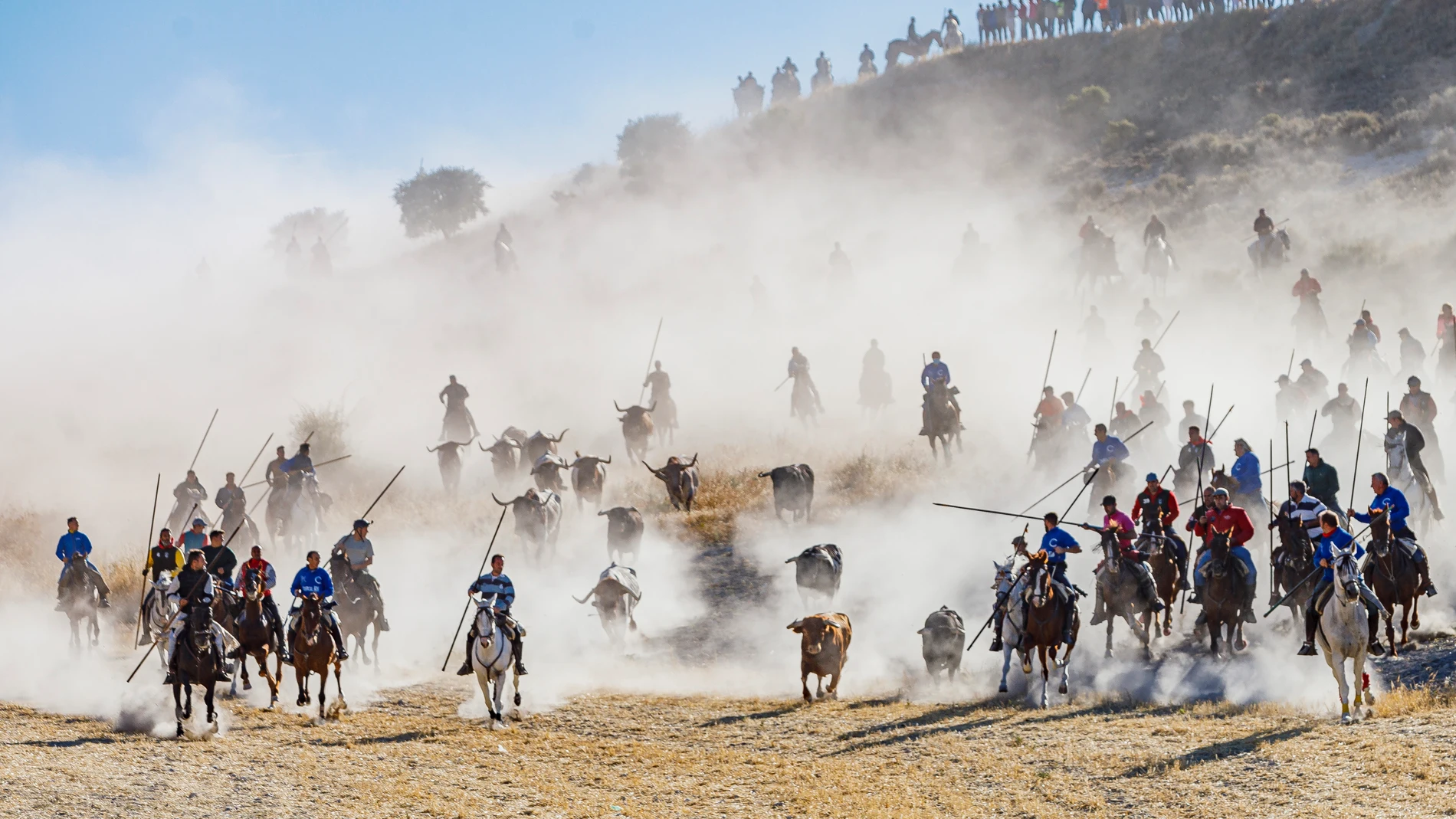 La villa de Cuéllar celebra el quinto y último encierro de las fiestas de este año, con toros de la ganadería Alcurrucén; desde la zona del embudo