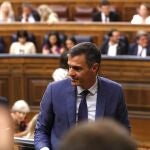 El presidente del Gobierno en funciones, Pedro Sánchez, en el Congreso durante la votación de la Presidencia de la Cámara