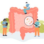 SIBO es el acrónimo de sobrecrecimiento bacteriano del intestino delgado, en inglés 