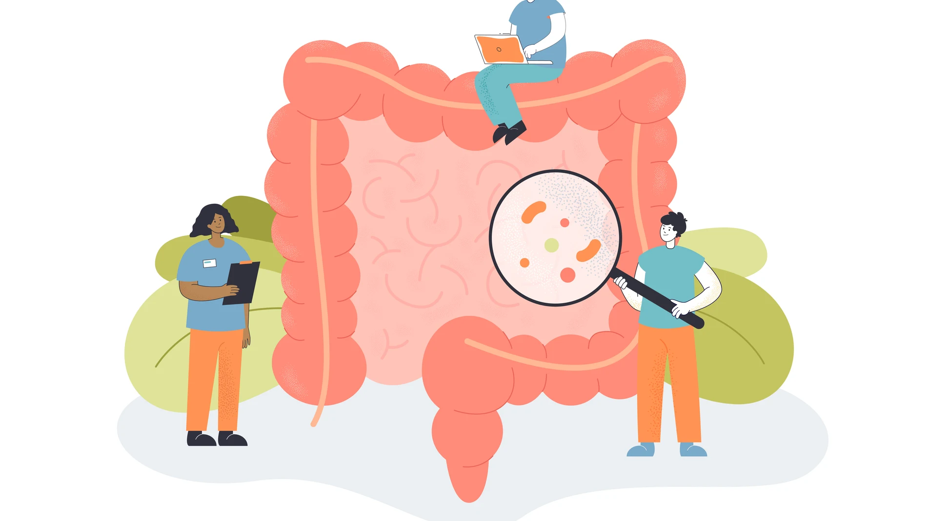 SIBO es el acrónimo de sobrecrecimiento bacteriano del intestino delgado, en inglés