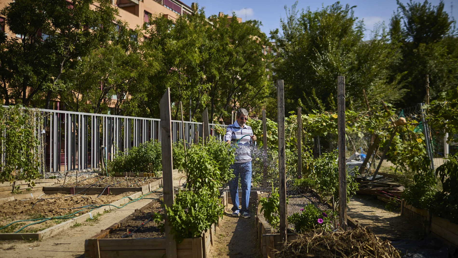 Reportaje Huertos Urbanos. En la imagen, pequeños agricultores desempeñando tareas en el Huerto de Las Vías