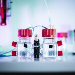 En estos recipientes se encuentran las bacterias produciendo electricidad