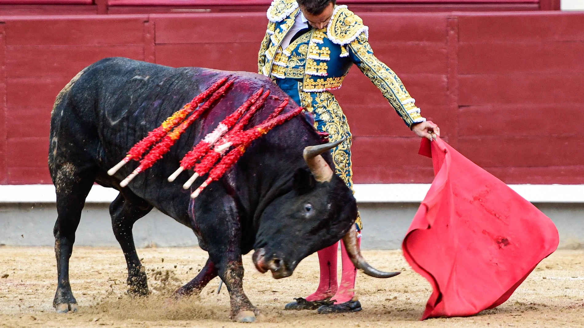 Natural de Damián Castaño en Madrid