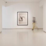 Exposición del fotógrafo Chema Madoz, vista de Sala. Cuahutli Gutierrez. Cortesia de Elvira Gonzalez.