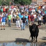 AMP.- El Toro de la Vega protagoniza un peligroso encierro al romper una talanquera y cornear gravemente a un joven