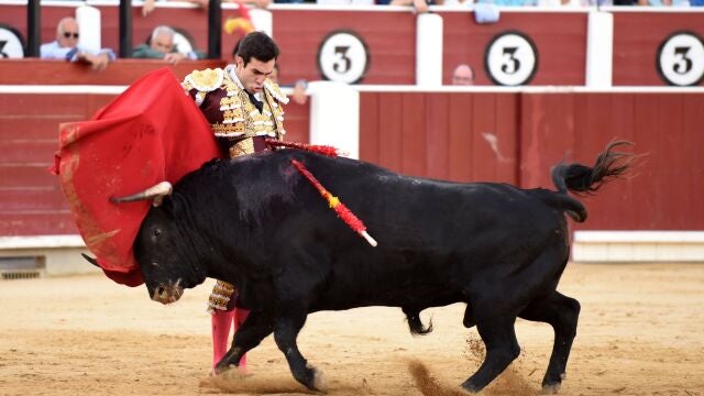 Cuando hay toro hay espectáculo