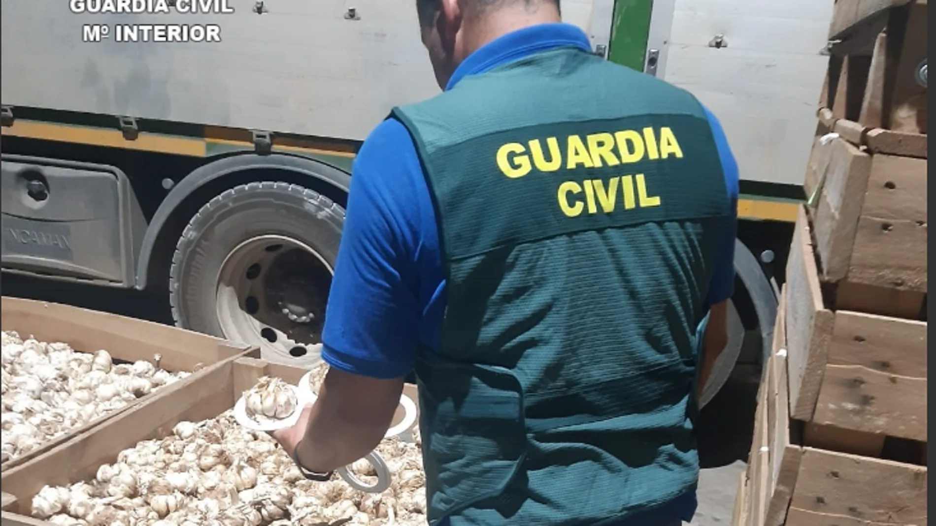 Un agente, con las semillas intervenidas