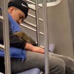 Una rata interrumpe el sueño de un joven en el metro de Nueva York
