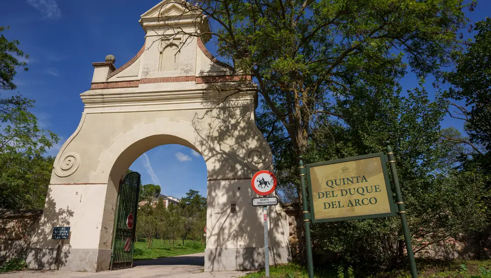Quinta del Duque del Arco. David Jar