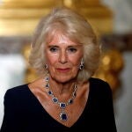 State dinner for King Charles and Queen Camilla at Versailles Castle