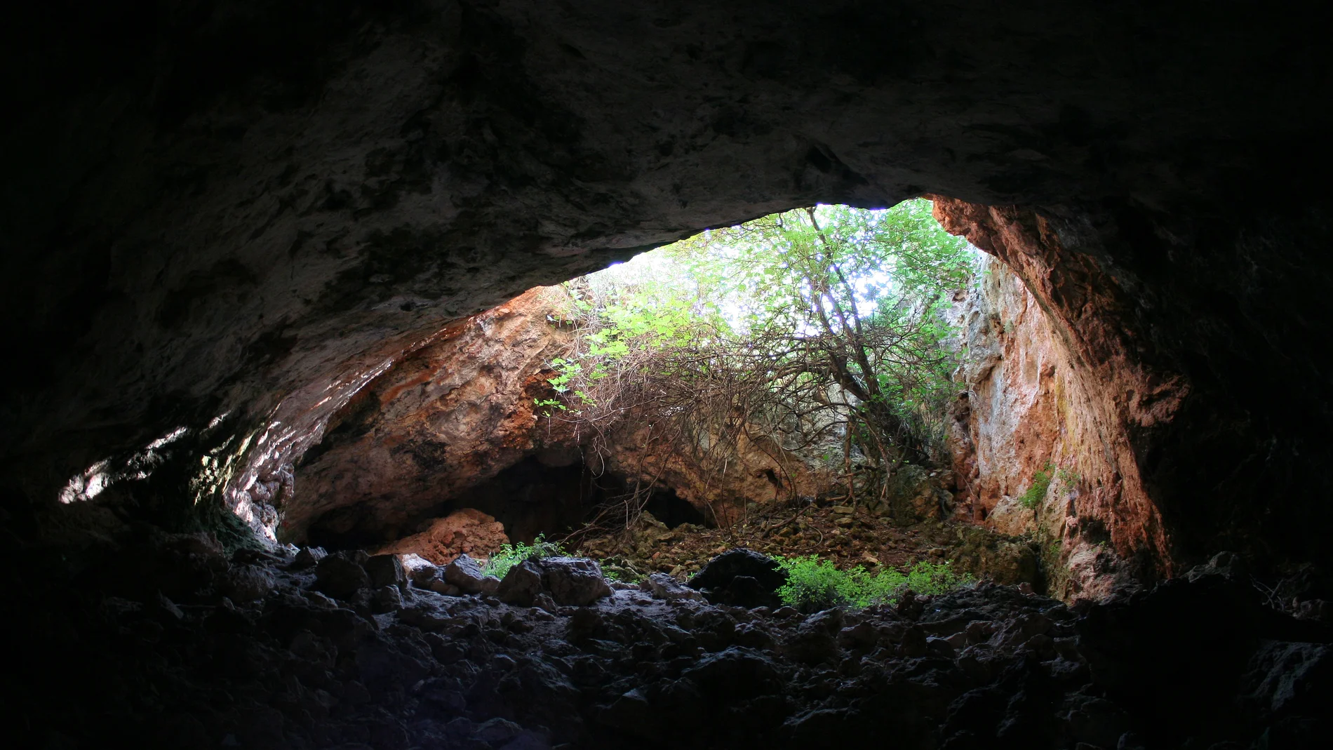 Vista de la entrada de la cueva (desde dentro)