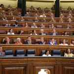Pleno en el Congreso