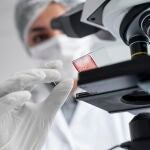 Investigación farmaceútica