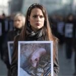 Igualdad Animal mostrará el sábado en Sol imágenes de cerdos mutilados y maltratados en granjas