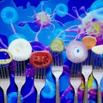 Mejorar el sistema inmune contra el cáncer con la dieta
