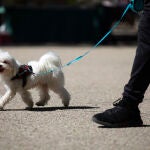 Gente paseando al perro por el parque de El Retiro. © Jesús G. Feria.