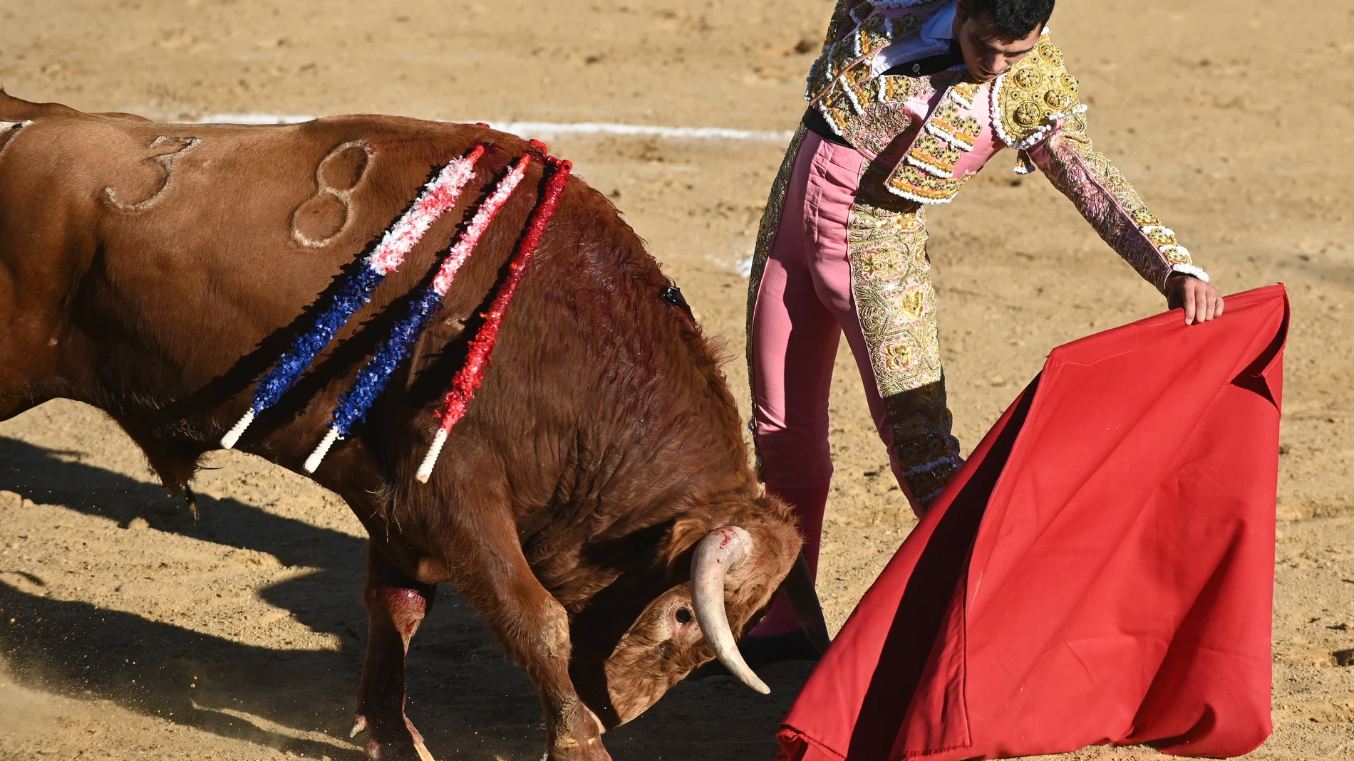 SAHAGÚ-LEON,23/09/23 El novillero Manuel Martín este sábado durante la novillada con picadores de Sahagún (León). Comparte cartel con Mario Navas y Pepe Luis Cirugeda, lidian reses de José Enrique Fraile de Valdefresno y Castillejo de Huebra. EFE/ J.casares